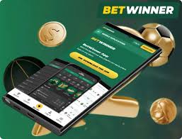 BetWinner Bookmaker A Comprehensive Review